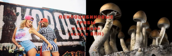 индика Бикин