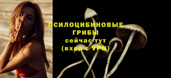 шишки Болхов