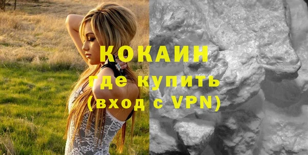 гашик Болотное