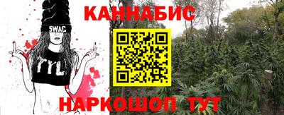 сатива Беслан