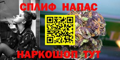 сатива Беслан