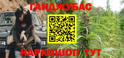 крисы Бийск