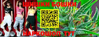 крисы Бийск