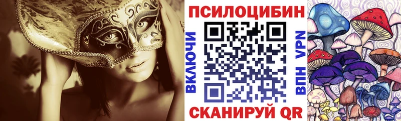 OMG ONION  Краснознаменск  Псилоцибиновые грибы Psilocybine cubensis 