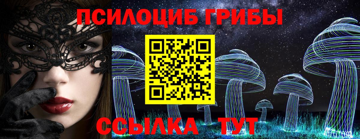 Галлюциногенные грибы GOLDEN TEACHER  Краснознаменск  Псилоцибиновые грибы ЛСД 